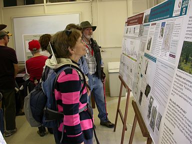 Walkers study the special exhibition of current research on the Hill.