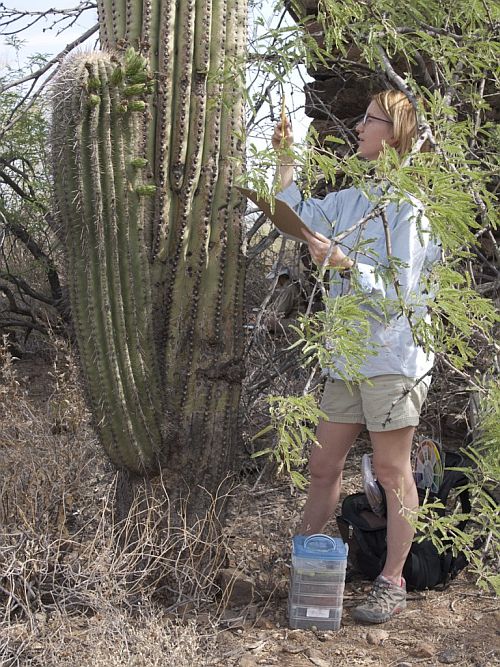 Meredith Milstead gets into the thicket of it. Photo by Paul Mirocha