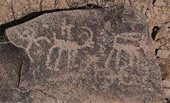 Hohokam petroglyphs