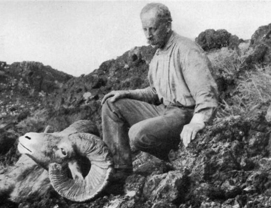 Godfrey Sykes & the bighorn sheep trophy